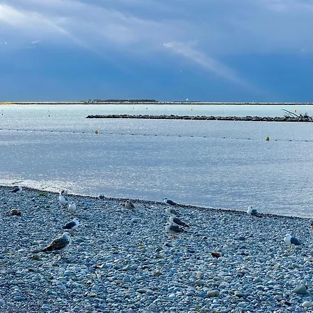 Nouveau Carre D'or *